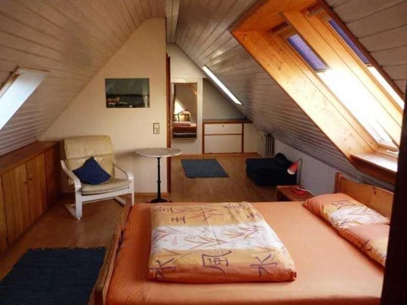 Apartment Citywohnung Freiburg im Breisgau